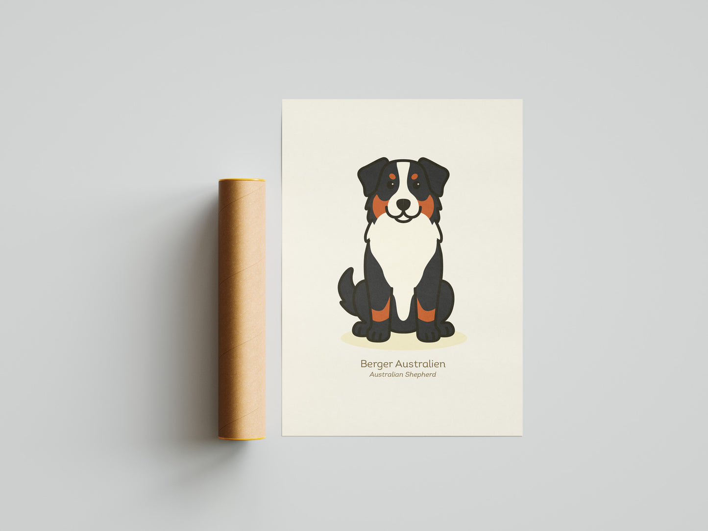 Australian Shepherd Black & Tan