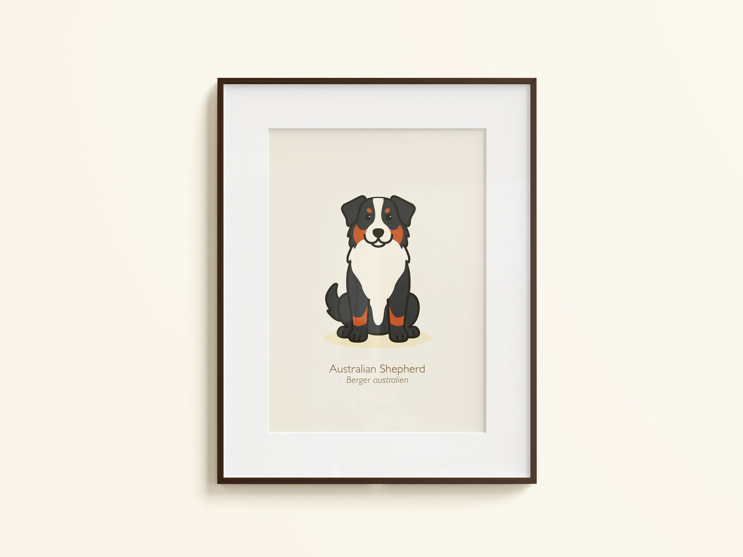 Australian Shepherd Black & Tan