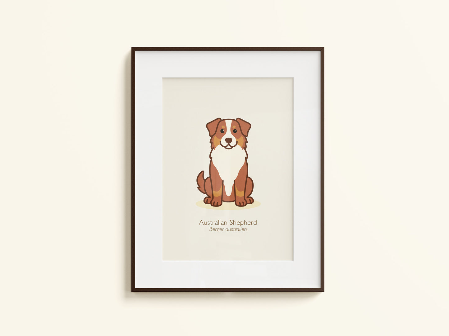 Australian Shepherd Red Merle