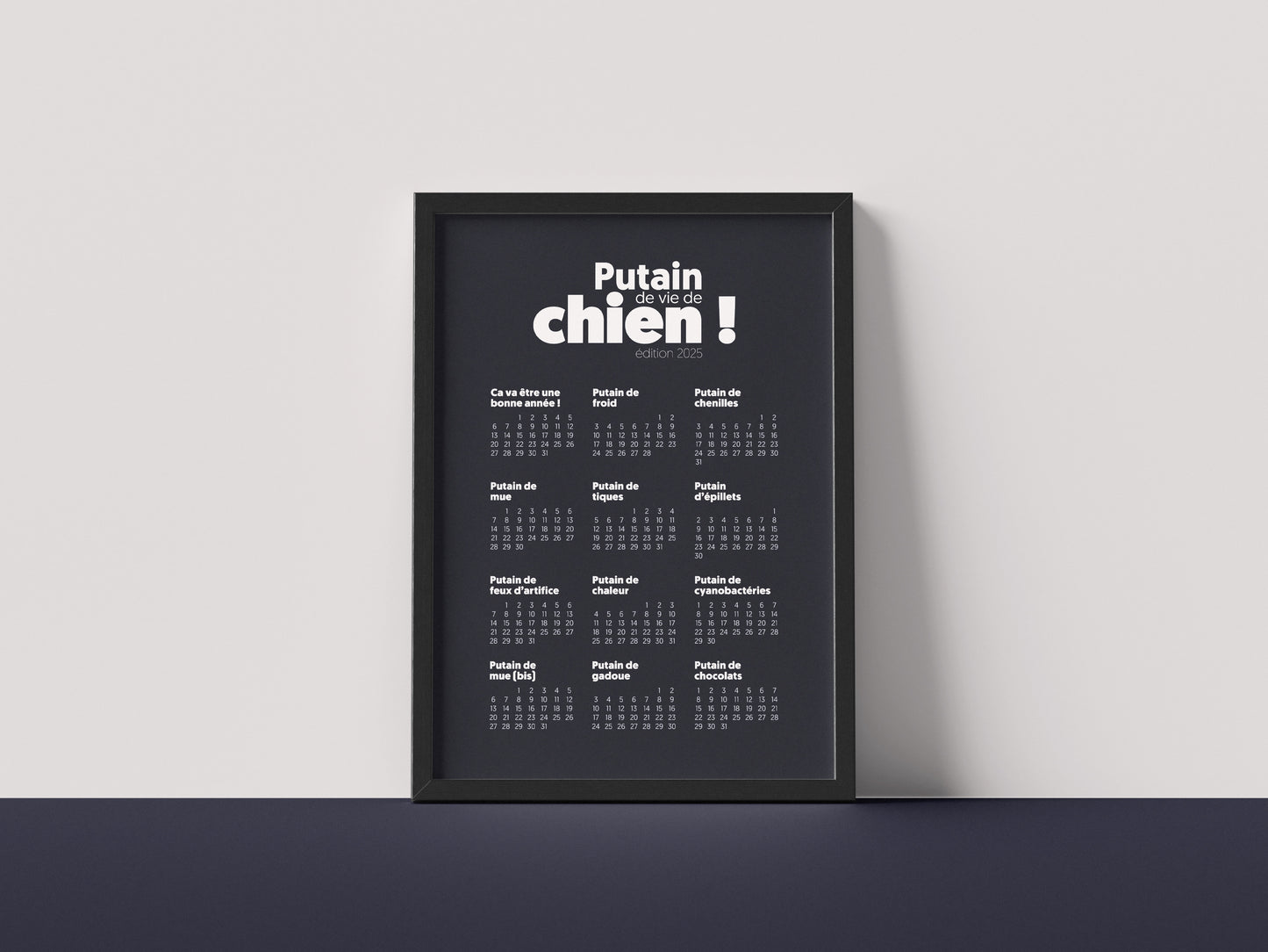 Affiche P****n de vie de chien