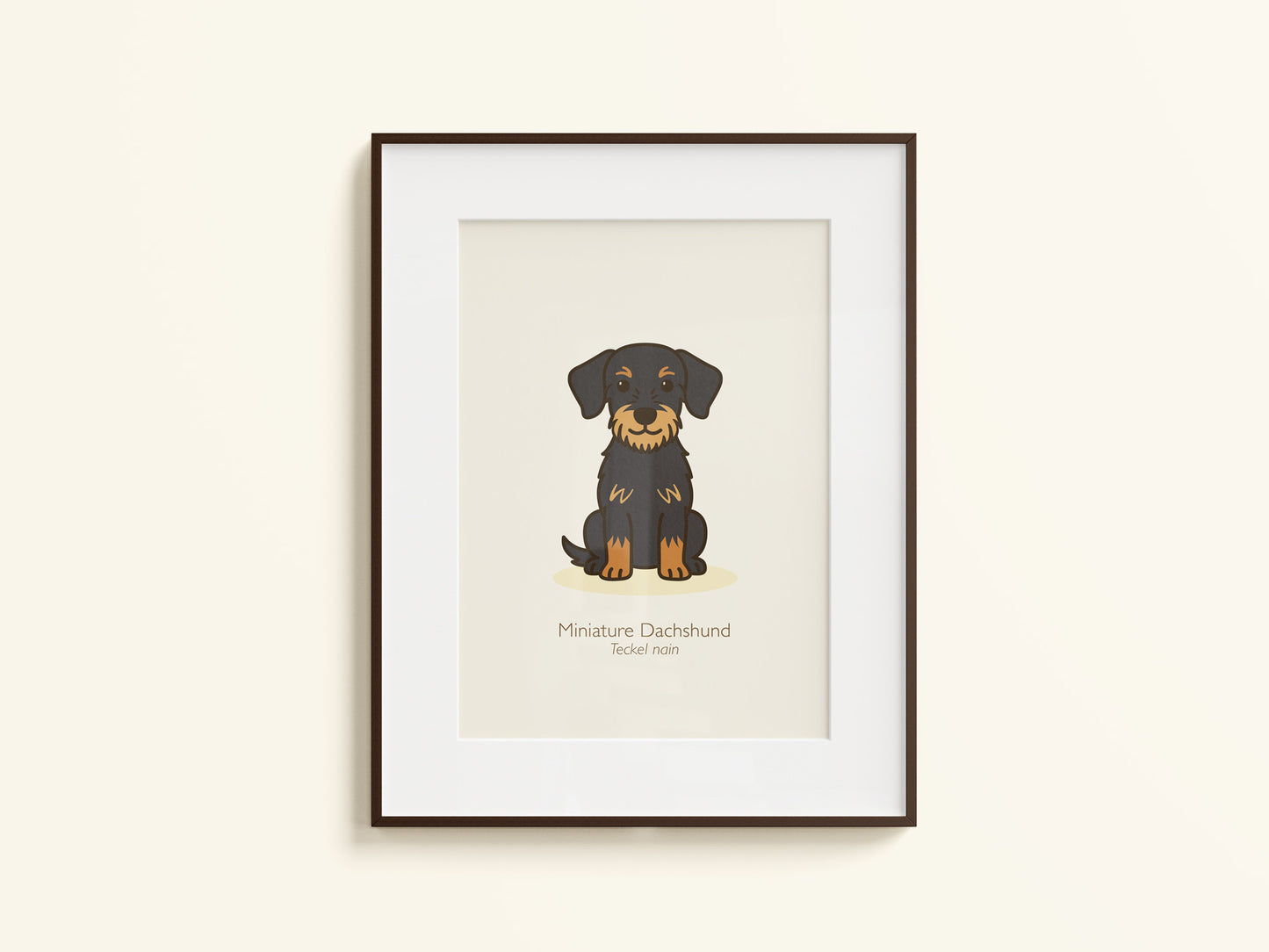 Miniature Dachshund