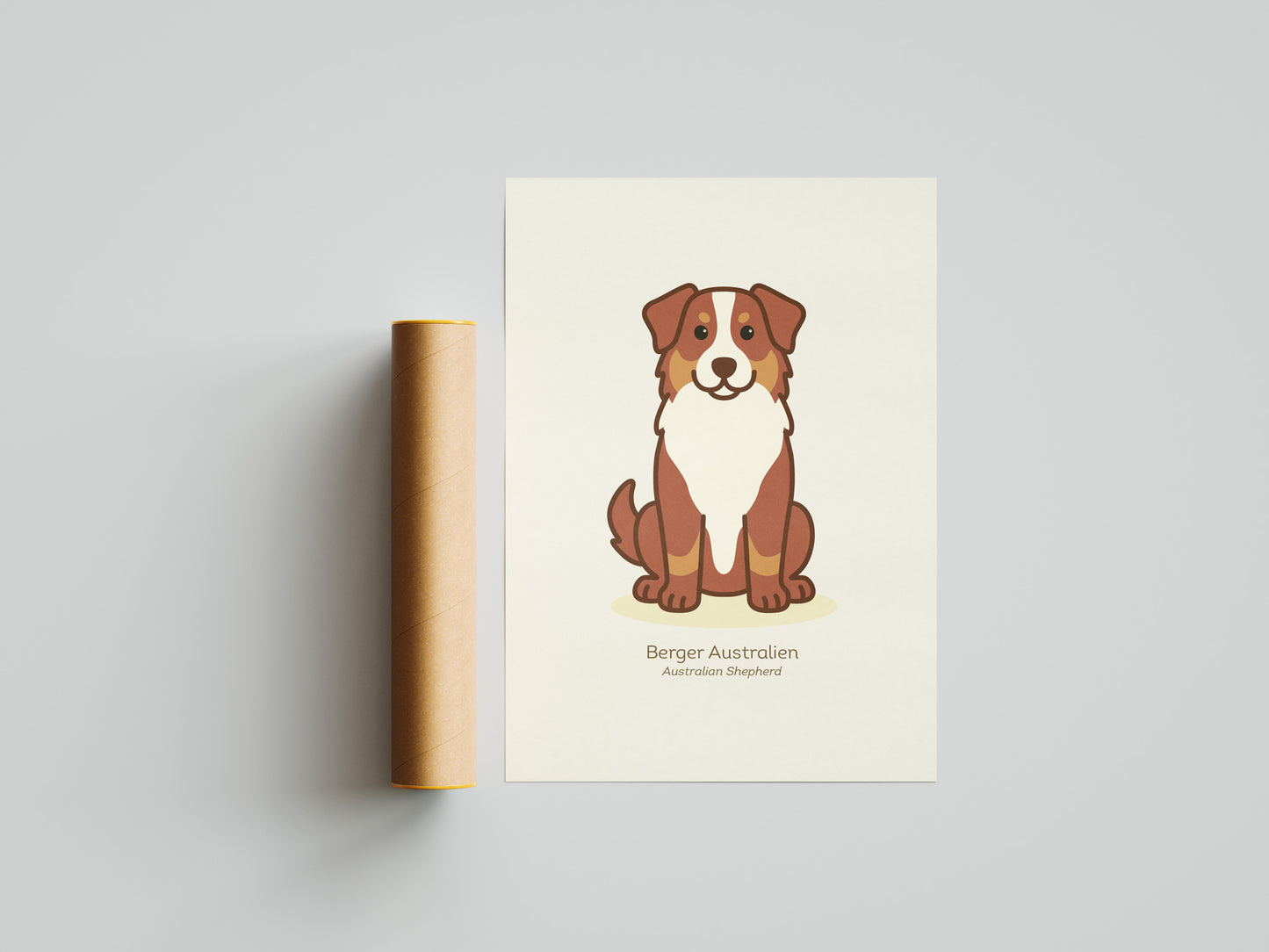 Australian Shepherd Red Merle