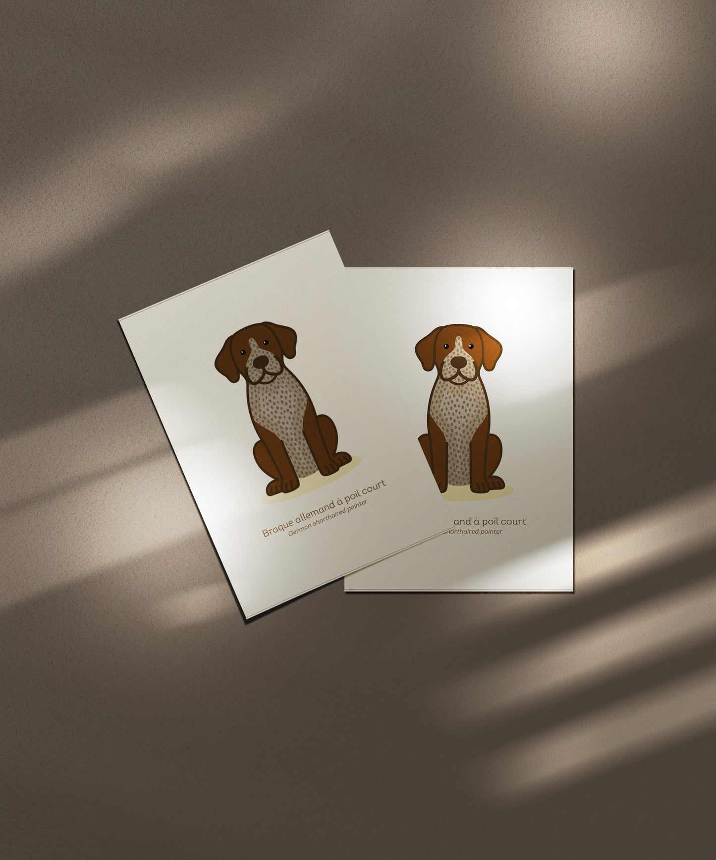 German Shorthaired Pointer 