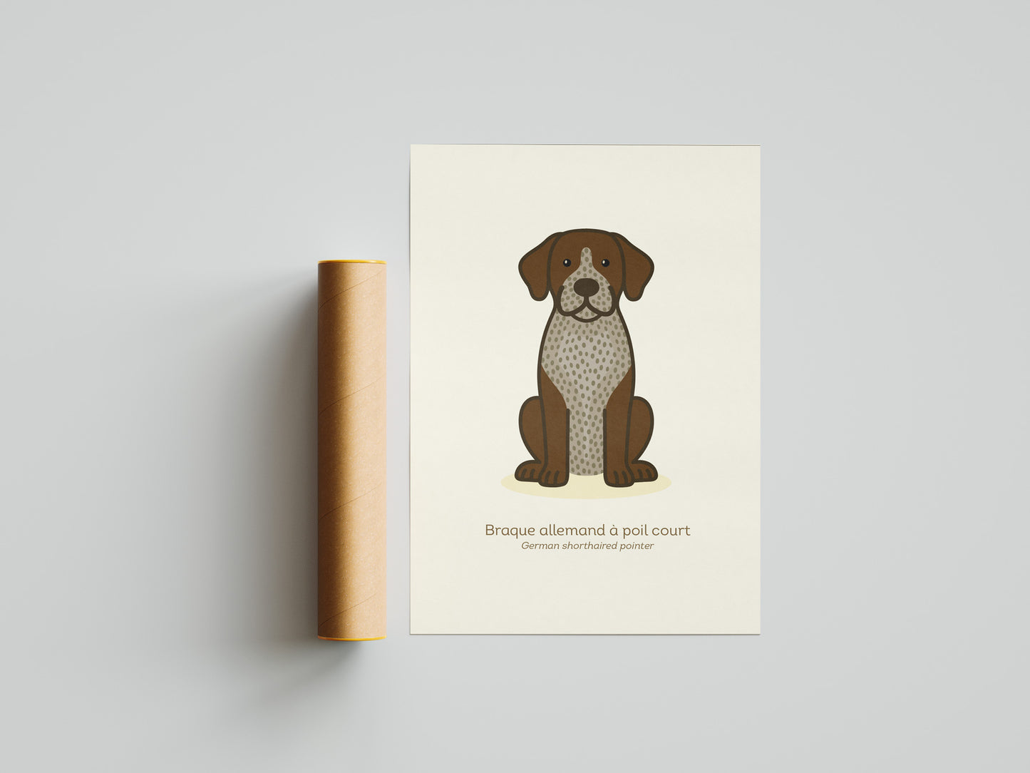German Shorthaired Pointer 